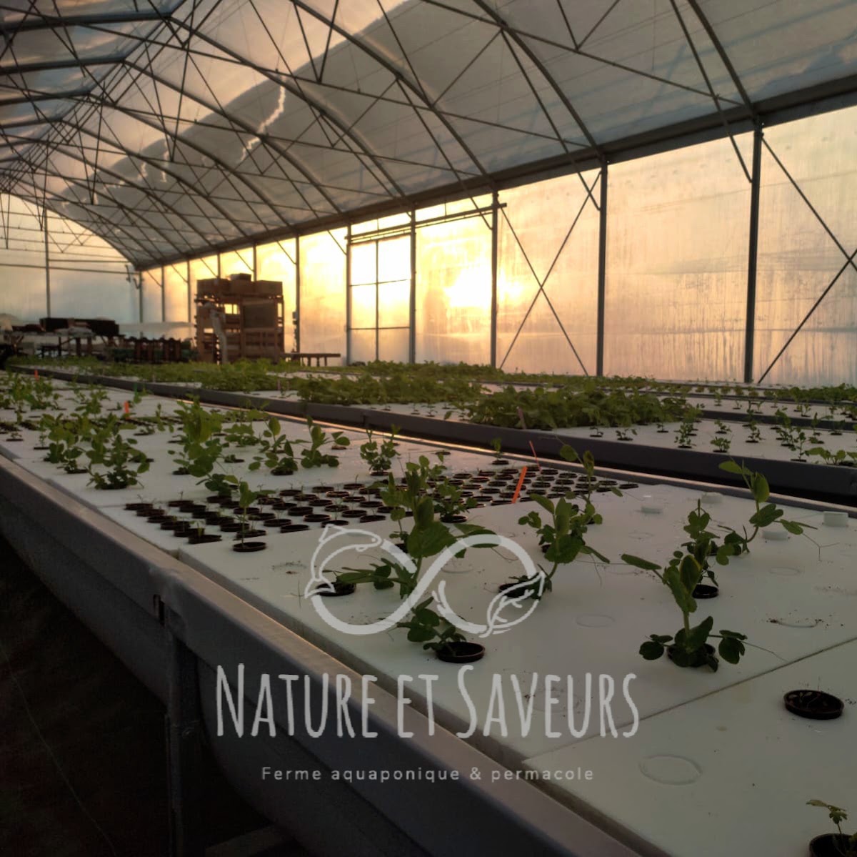 Nature et saveur