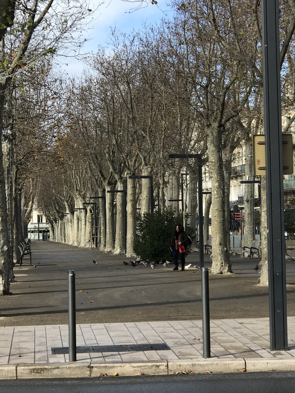 11 Cours République, Les Barques De Narbonne